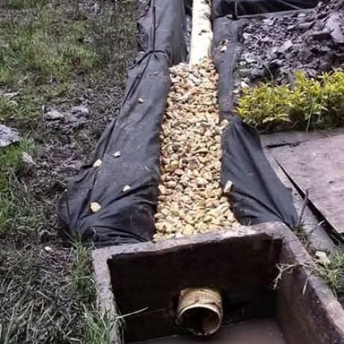 WhatsApp Image 2026-02-06 at 12.49.19 PM (3)