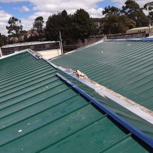 WhatsApp Image 2026-02-06 at 12.49.19 PM (5)